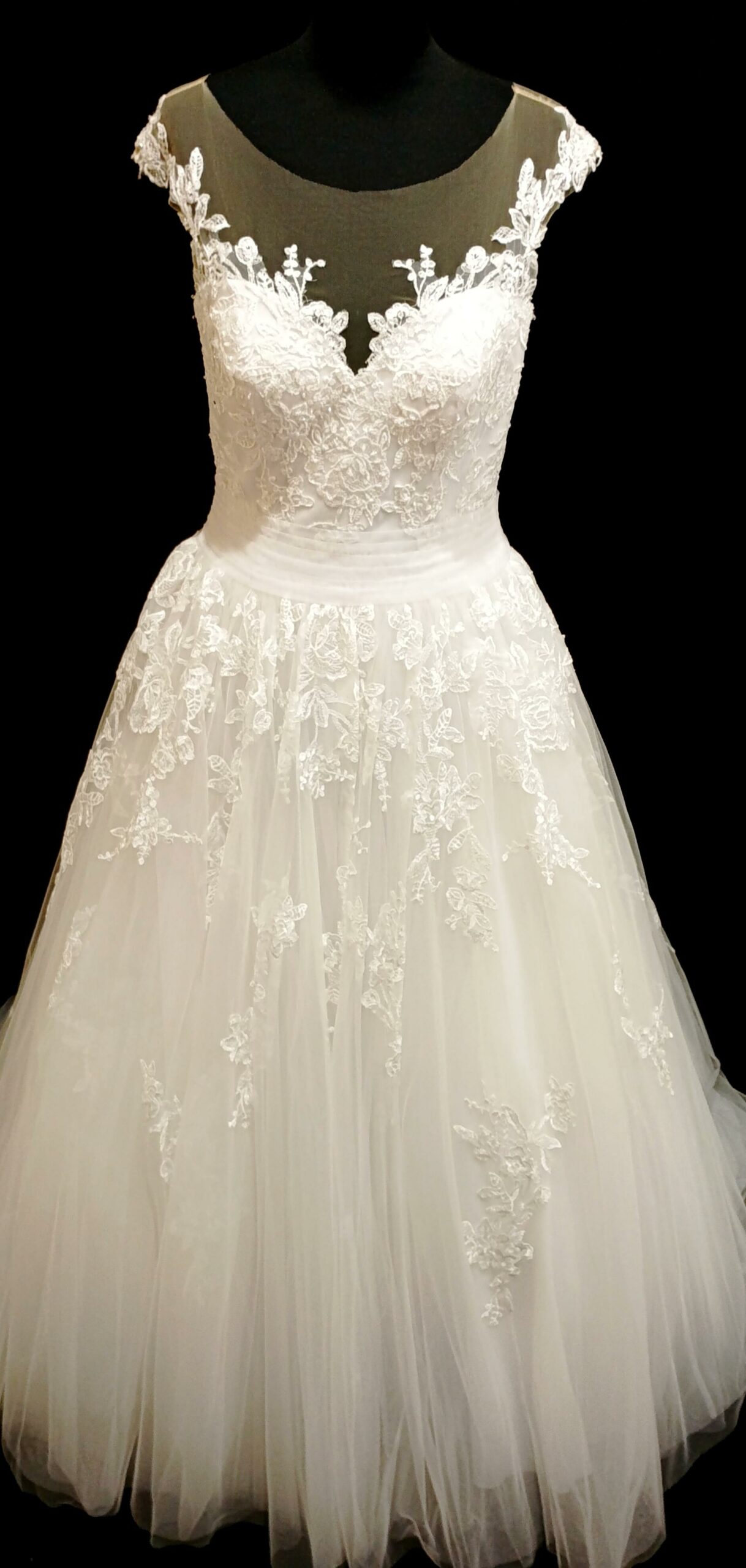 Centaurée Centaurée